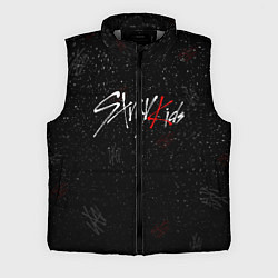 Мужской жилет STRAY KIDS, цвет: 3D-светло-серый