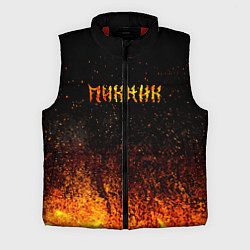 Мужской жилет Пикник в огне, цвет: 3D-красный