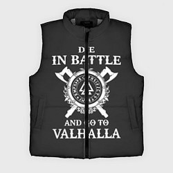 Мужской жилет Vikings, цвет: 3D-светло-серый