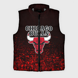 Мужской жилет CHICAGO BULLS, цвет: 3D-светло-серый