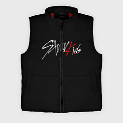 Мужской жилет STRAY KIDS