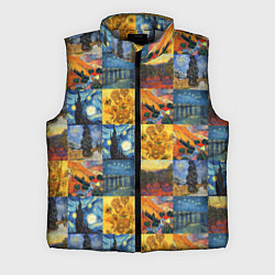 Мужской жилет Картины Ван Гога, цвет: 3D-светло-серый