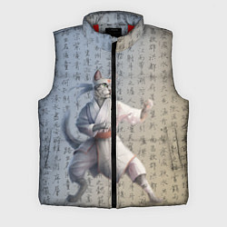 Мужской жилет Karate cat, цвет: 3D-красный