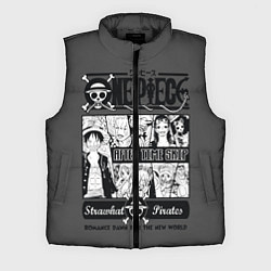 Мужской жилет One Piece, цвет: 3D-черный