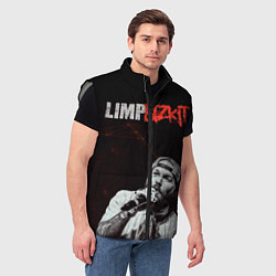 Мужской жилет Limp Bizkit, цвет: 3D-светло-серый — фото 2
