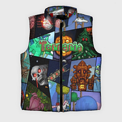 Мужской жилет Terraria, цвет: 3D-красный
