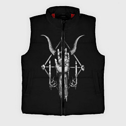 Мужской жилет Анархия, цвет: 3D-красный