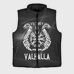 Мужской жилет Valhalla, цвет: 3D-черный