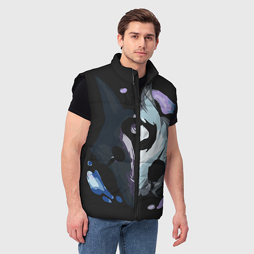 Мужской жилет League of Legends / 3D-Черный – фото 3