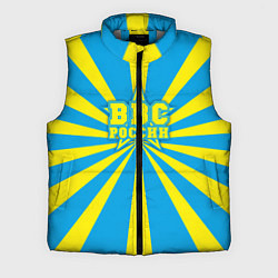 Мужской жилет ВВС России, цвет: 3D-светло-серый