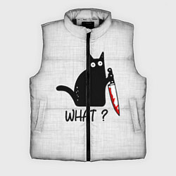 Мужской жилет What cat