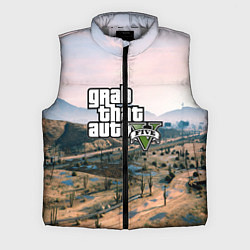 Мужской жилет Grand Theft Auto 5, цвет: 3D-светло-серый