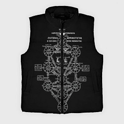 Мужской жилет EVa-updown, цвет: 3D-черный