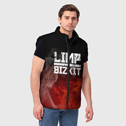 Мужской жилет LIMP BIZKIT, цвет: 3D-черный — фото 2