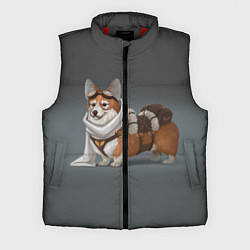 Мужской жилет КОРГИ ПИЛОТ, цвет: 3D-красный