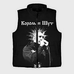 Мужской жилет Король и Шут Анархия спина