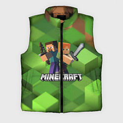 Мужской жилет MINECRAFT, цвет: 3D-черный