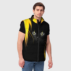 Мужской жилет Грозовой кошак, цвет: 3D-черный — фото 2