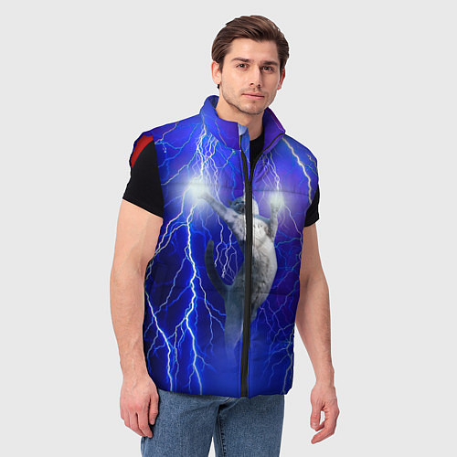 Мужской жилет Грозовой кошак / 3D-Красный – фото 3