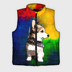 Мужской жилет Корги, цвет: 3D-светло-серый