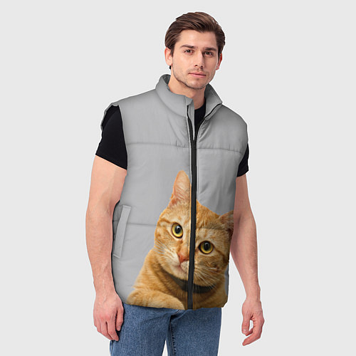 Мужской жилет Рыжий котик / 3D-Черный – фото 3