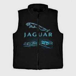 Мужской жилет Jaguar, цвет: 3D-черный