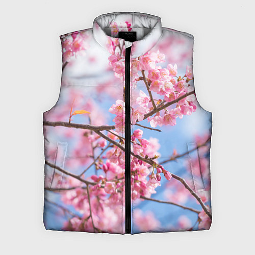 Мужской жилет Ветки Сакуры / 3D-Светло-серый – фото 1