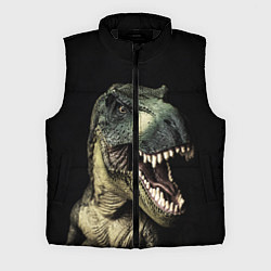 Мужской жилет Динозавр T-Rex