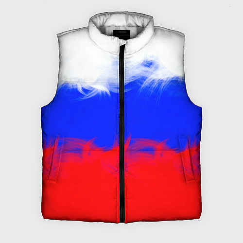 Мужской жилет Россия / 3D-Светло-серый – фото 1