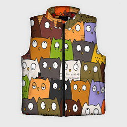 Мужской жилет СОВЫ КОТИКИ, цвет: 3D-красный