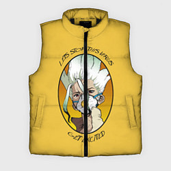 Мужской жилет Senku Ishigami, цвет: 3D-черный