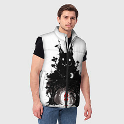 Мужской жилет Красная шапочка, цвет: 3D-черный — фото 2