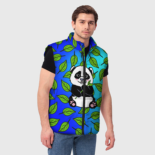 Мужской жилет Панда / 3D-Черный – фото 3