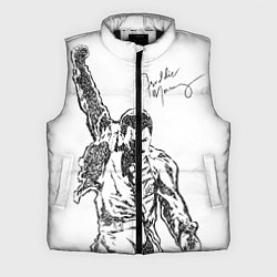 Мужской жилет Freddie Mercury, цвет: 3D-черный