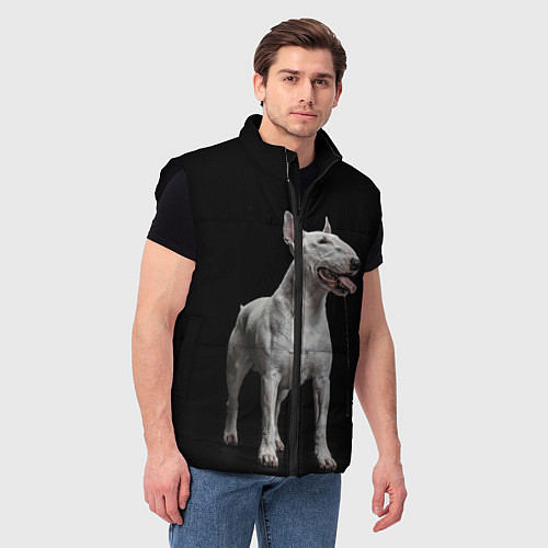 Мужской жилет Bully / 3D-Черный – фото 3