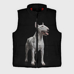 Мужской жилет Bully, цвет: 3D-красный