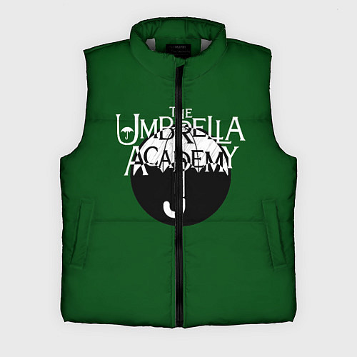 Мужской жилет Umbrella academy / 3D-Светло-серый – фото 1