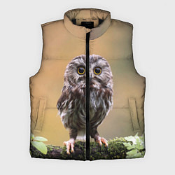 Мужской жилет СОВЕНОК, цвет: 3D-черный