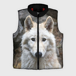 Мужской жилет Волк