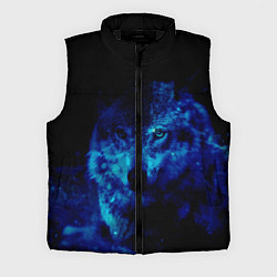 Мужской жилет Волк Вселенная