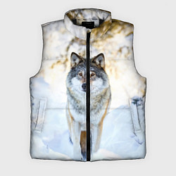 Мужской жилет Я зимой