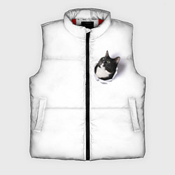 Мужской жилет КОТ В СЕРДЦЕ, цвет: 3D-красный
