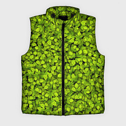 Мужской жилет Хмель
