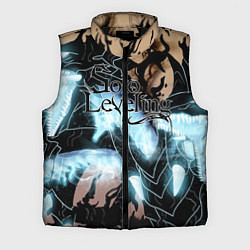 Мужской жилет Solo leveling, цвет: 3D-черный