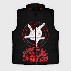 Мужской жилет КОТ САТАНЫ, цвет: 3D-красный