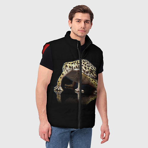 Мужской жилет ЭУБЛЕФАР EUBLEPHARIS / 3D-Красный – фото 3