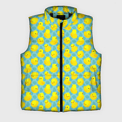 Мужской жилет Уточка, цвет: 3D-черный