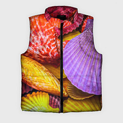 Мужской жилет Разноцветные ракушки multicolored seashells