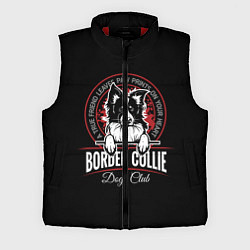Мужской жилет Бордер-Колли Border Collie, цвет: 3D-красный