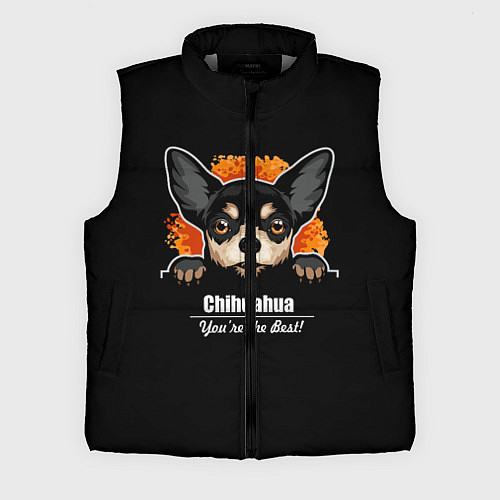 Мужской жилет Чихуахуа Chihuahua / 3D-Светло-серый – фото 1